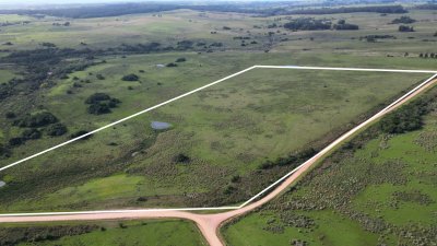 Campo en Costas de José Ignacio | 24 Has