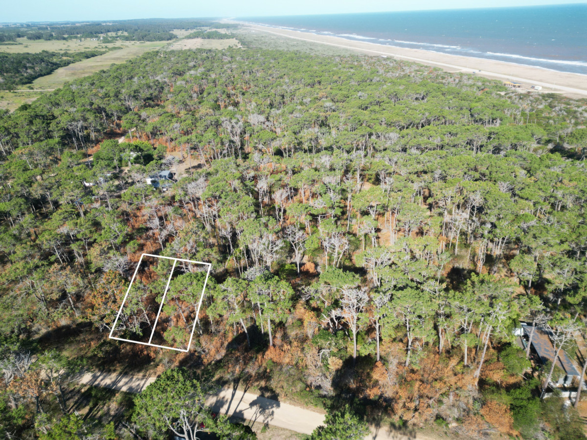 Terreno en El Caracol sobre calle principal 
