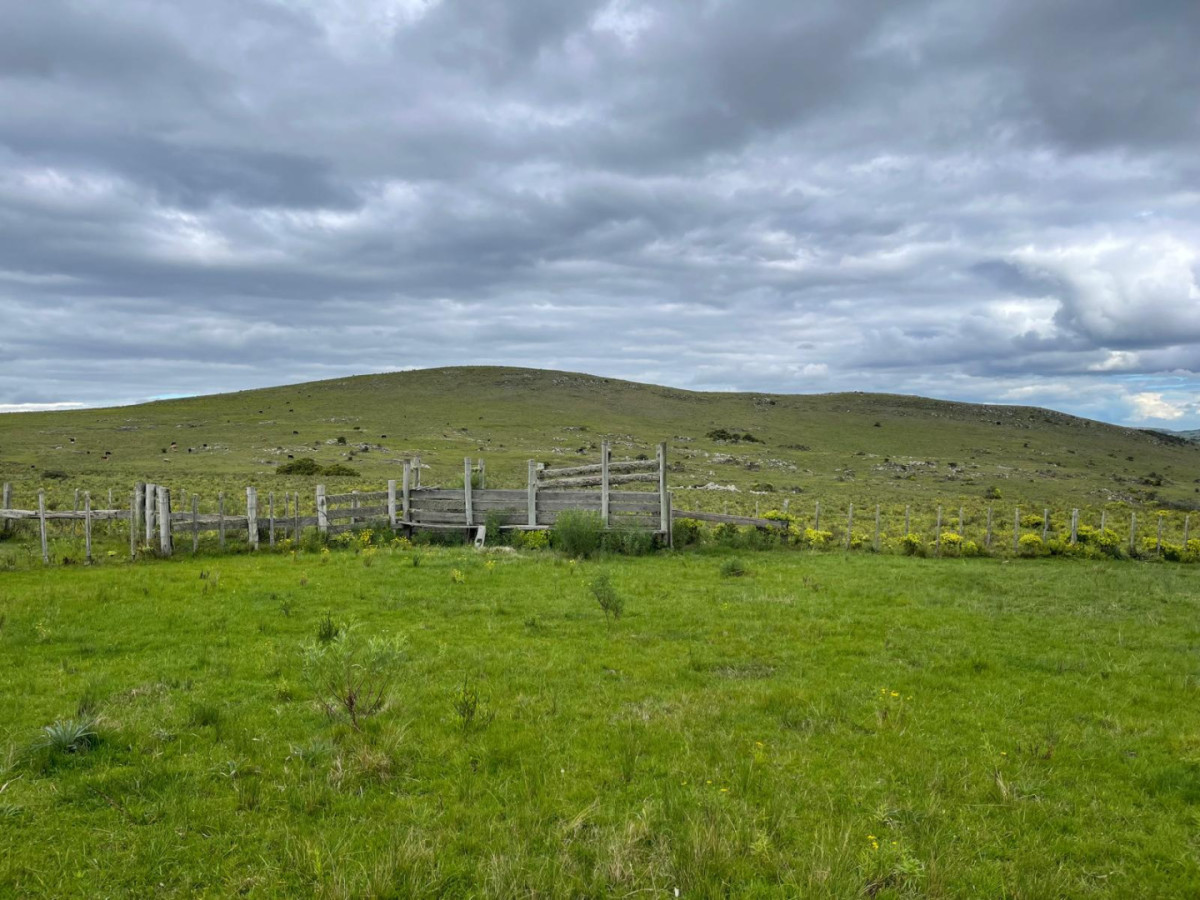 Campo en venta
