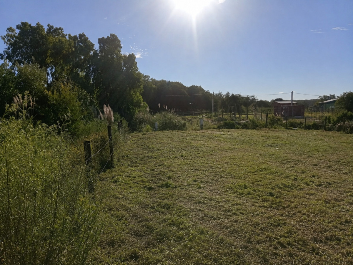 Terreno en venta - La Bota 