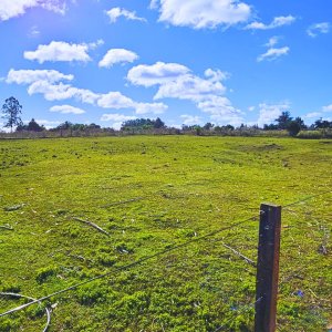 VENTA DE CHACRA EN CANELON CHICO