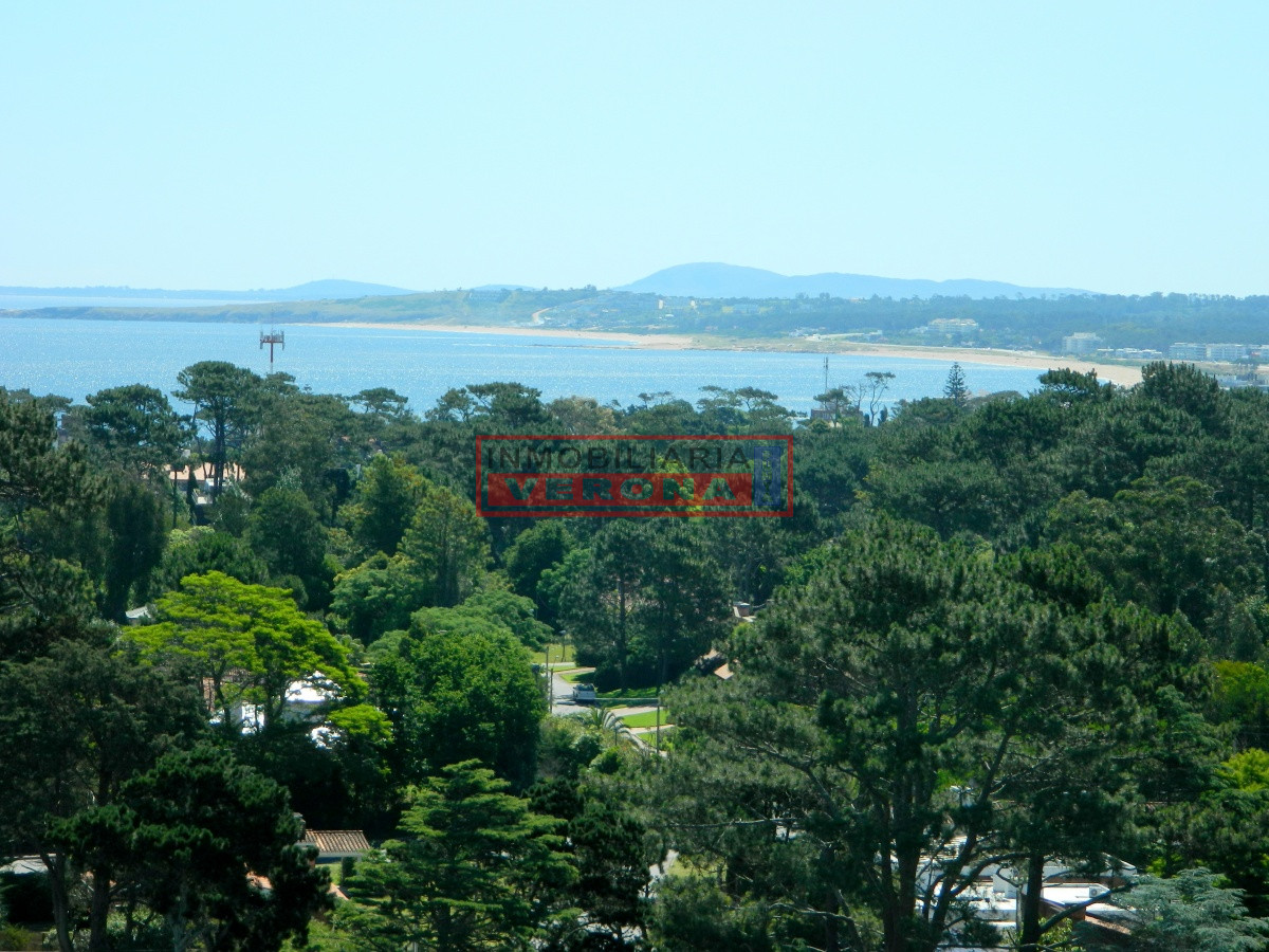 Roosevelt - GoPunta - Portal Inmobiliario de Punta del Este - Maldonado