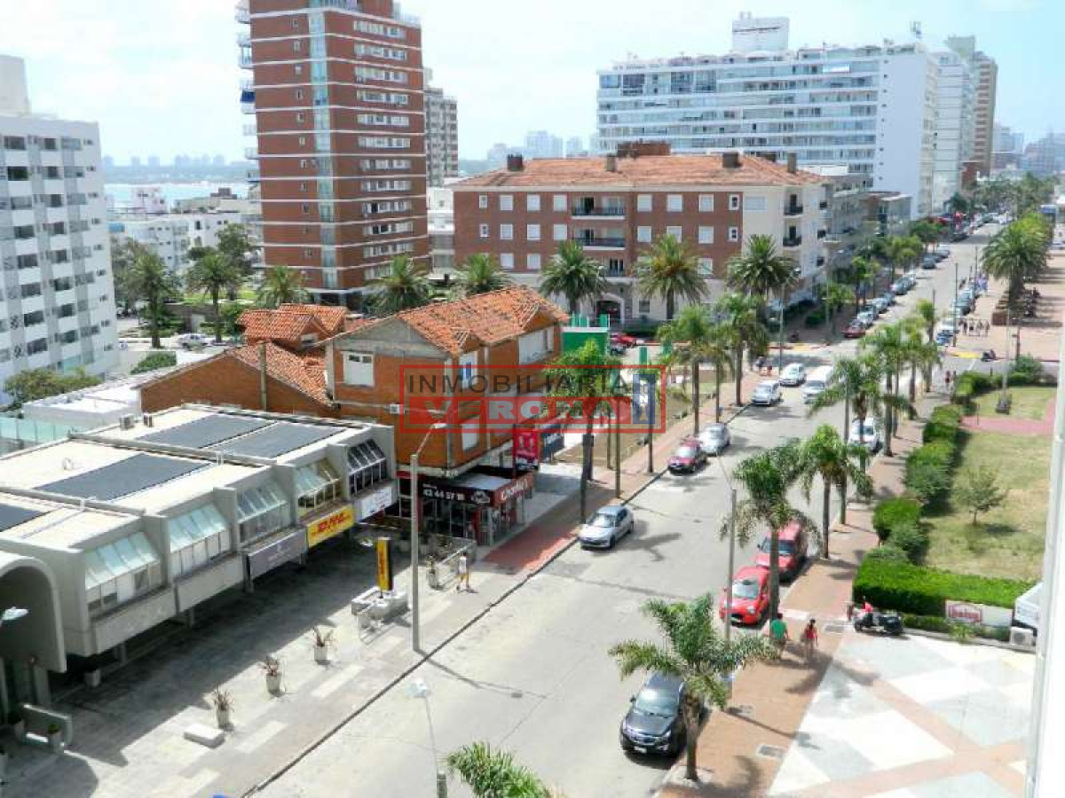 Peninsula - GoPunta - Portal Inmobiliario de Punta del Este - Maldonado