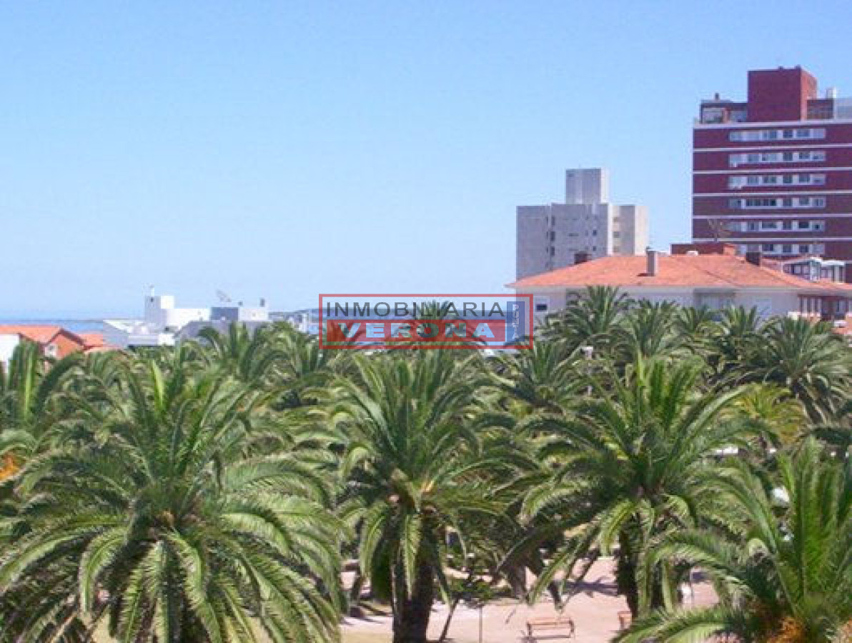 Peninsula - GoPunta - Portal Inmobiliario de Punta del Este - Maldonado