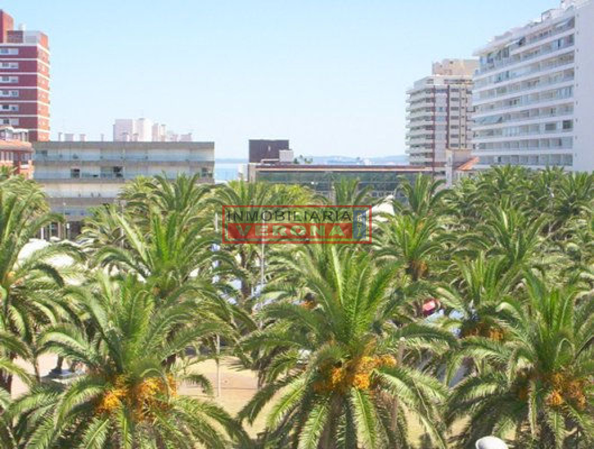 Peninsula - GoPunta - Portal Inmobiliario de Punta del Este - Maldonado