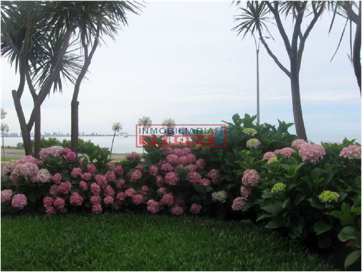 Pinares - GoPunta - Portal Inmobiliario de Punta del Este - Maldonado