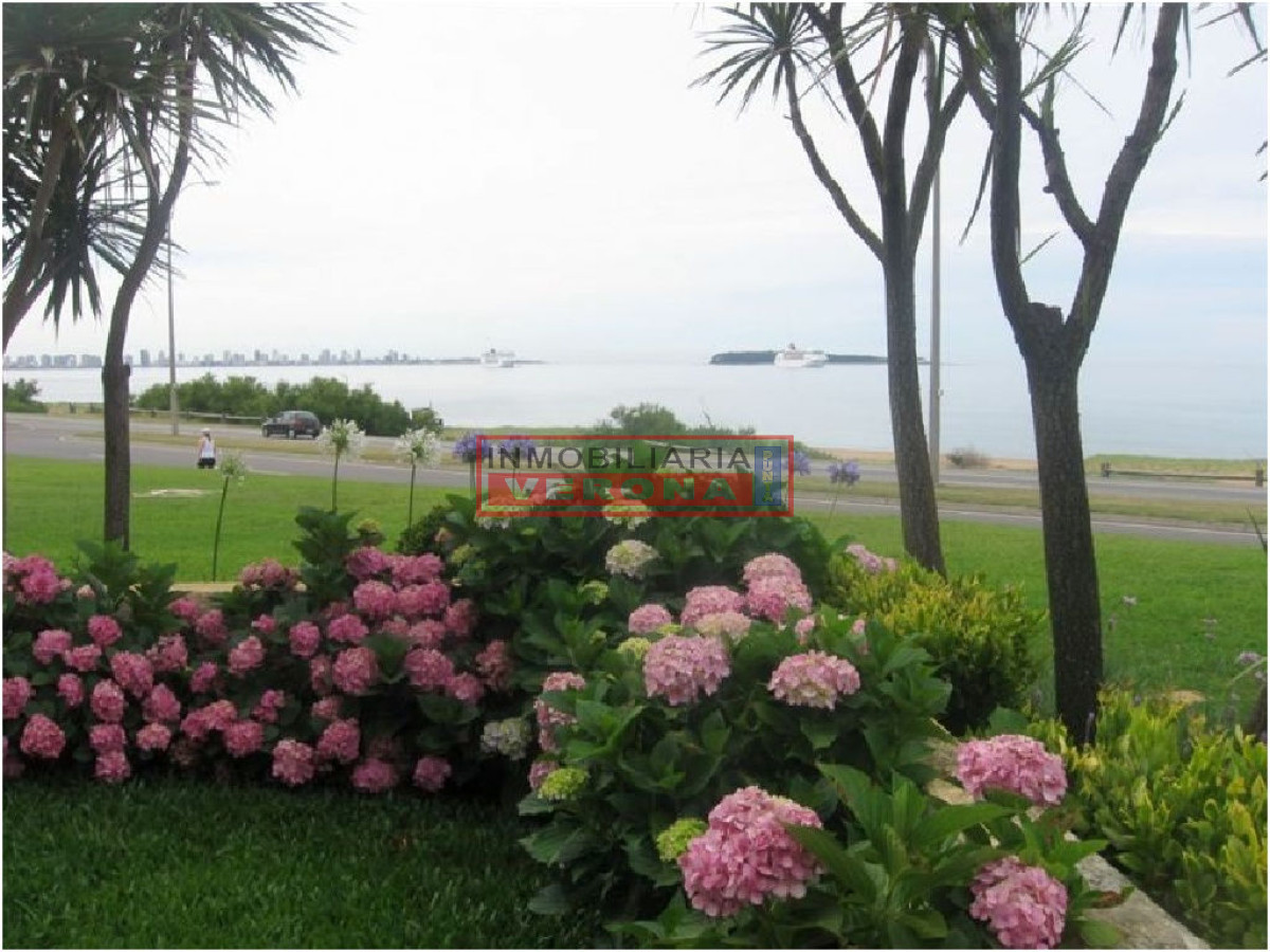 Pinares - GoPunta - Portal Inmobiliario de Punta del Este - Maldonado