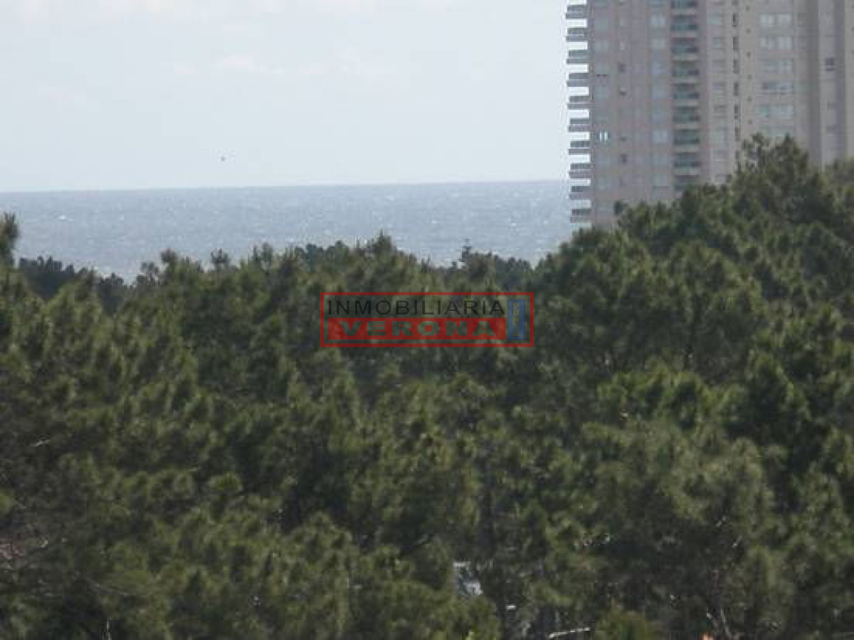 Roosevelt - GoPunta - Portal Inmobiliario de Punta del Este - Maldonado