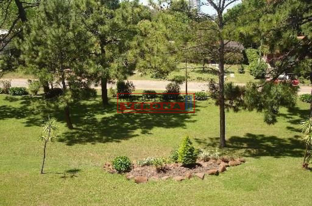 Aidy Grill - GoPunta - Portal Inmobiliario de Punta del Este - Maldonado