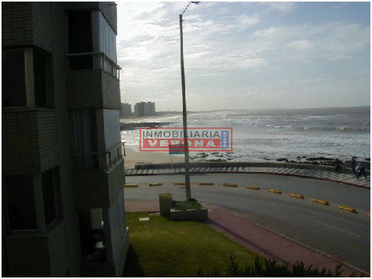 Peninsula - GoPunta - Portal Inmobiliario de Punta del Este - Maldonado