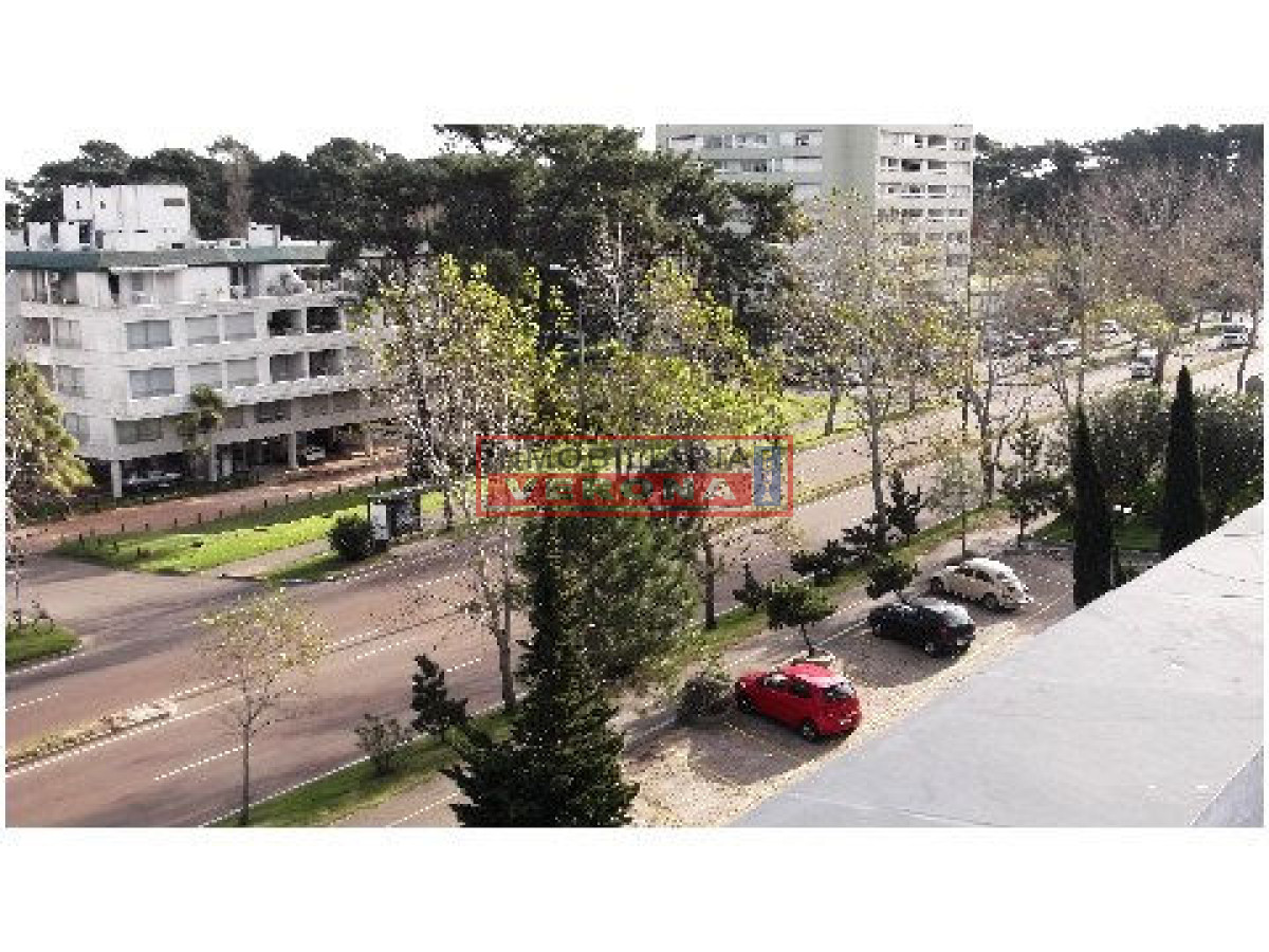 Roosevelt - GoPunta - Portal Inmobiliario de Punta del Este - Maldonado