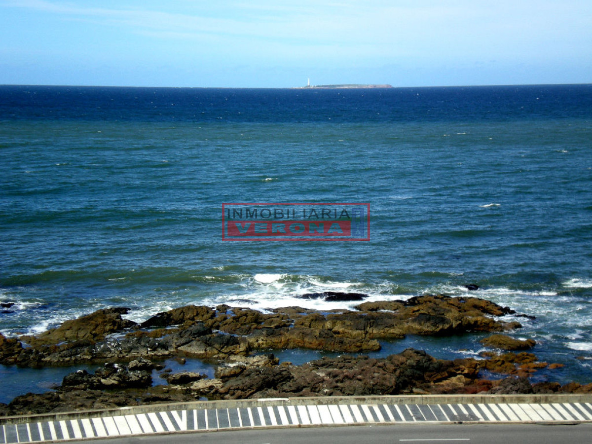 Brava - GoPunta - Portal Inmobiliario de Punta del Este - Maldonado