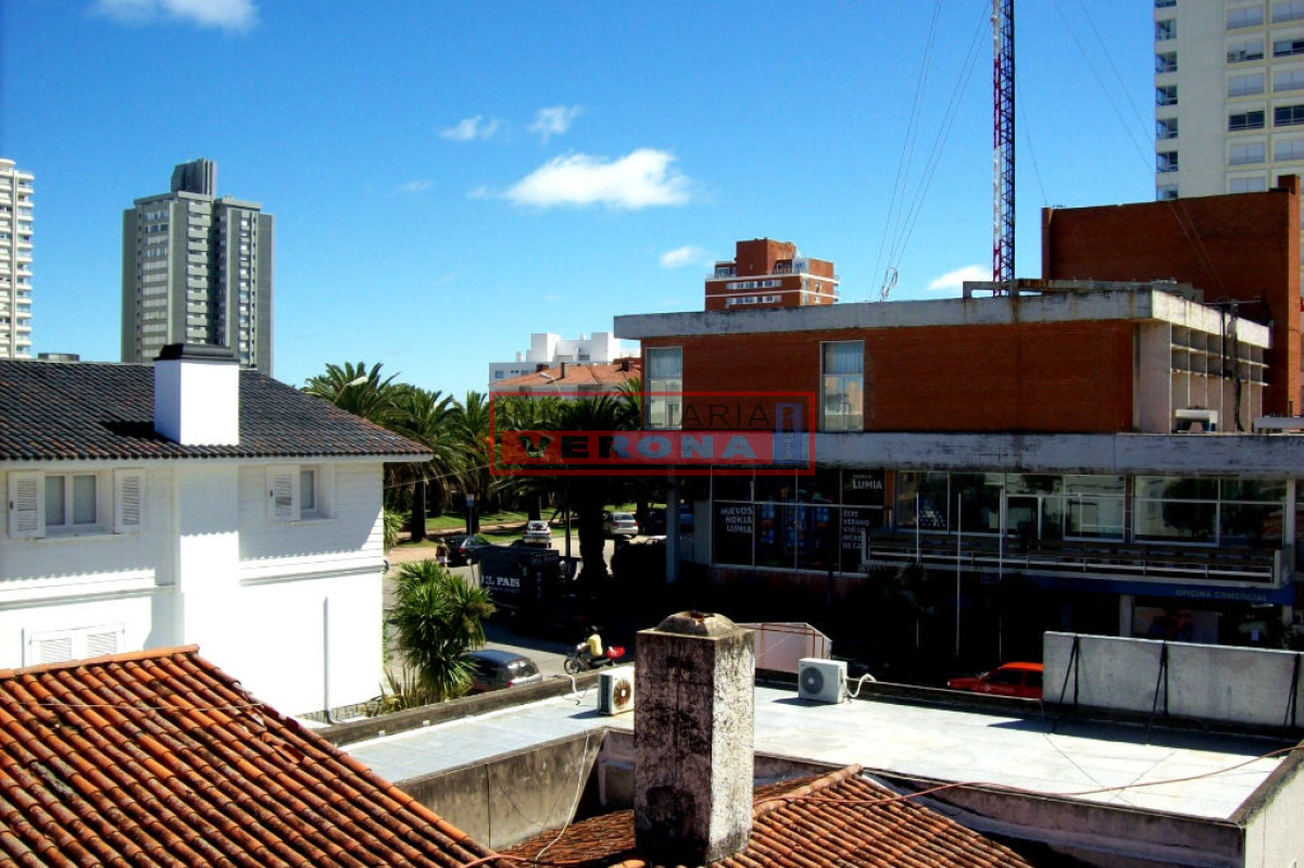 Peninsula - GoPunta - Portal Inmobiliario de Punta del Este - Maldonado