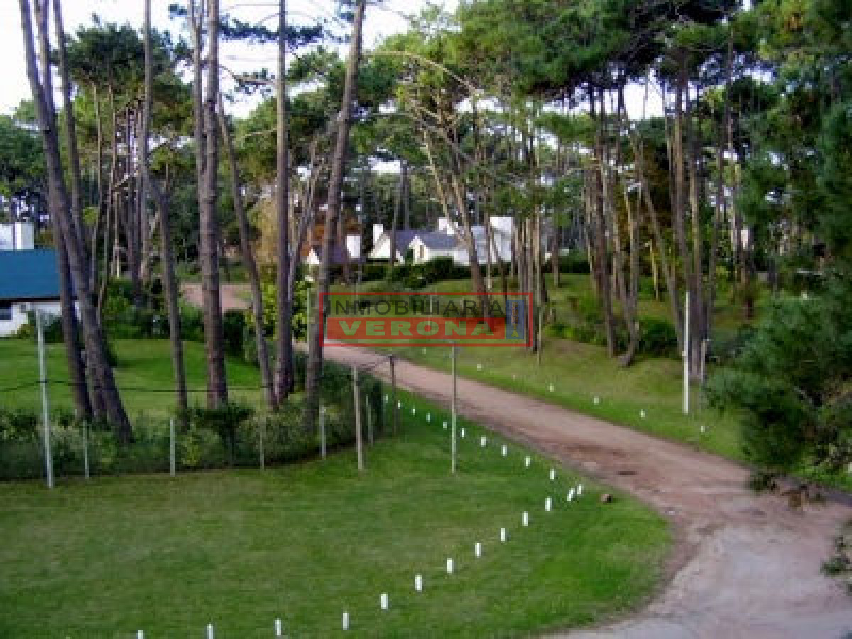 San Rafael - GoPunta - Portal Inmobiliario de Punta del Este - Maldonado