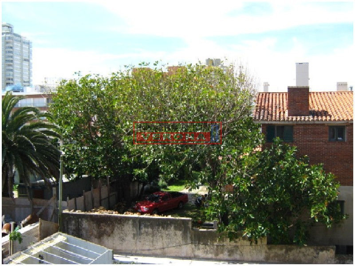 Peninsula - GoPunta - Portal Inmobiliario de Punta del Este - Maldonado