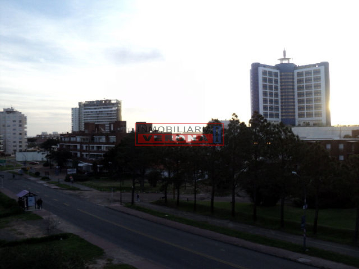 Aidy Grill - GoPunta - Portal Inmobiliario de Punta del Este - Maldonado