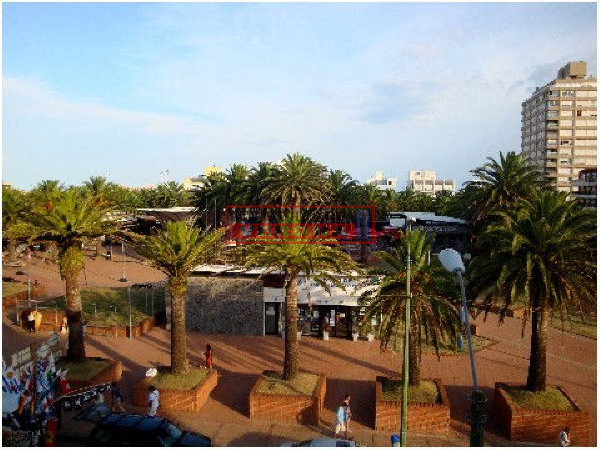 Peninsula - GoPunta - Portal Inmobiliario de Punta del Este - Maldonado