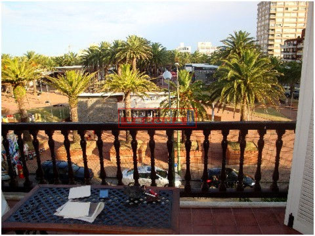Peninsula - GoPunta - Portal Inmobiliario de Punta del Este - Maldonado