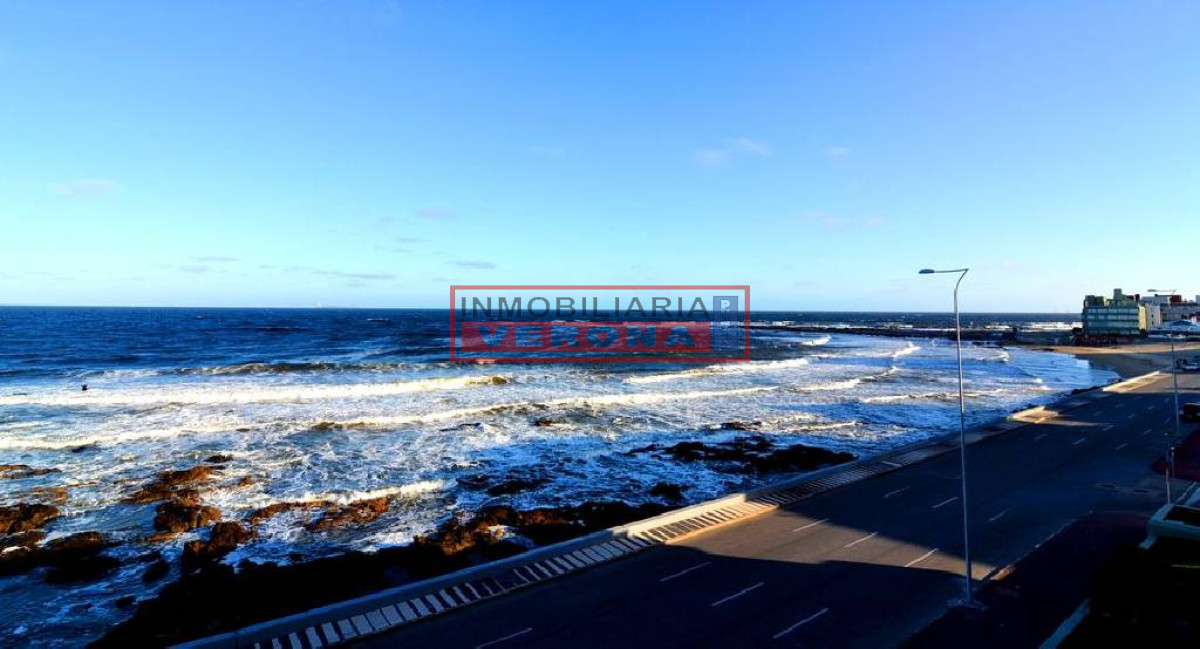 Peninsula - GoPunta - Portal Inmobiliario de Punta del Este - Maldonado