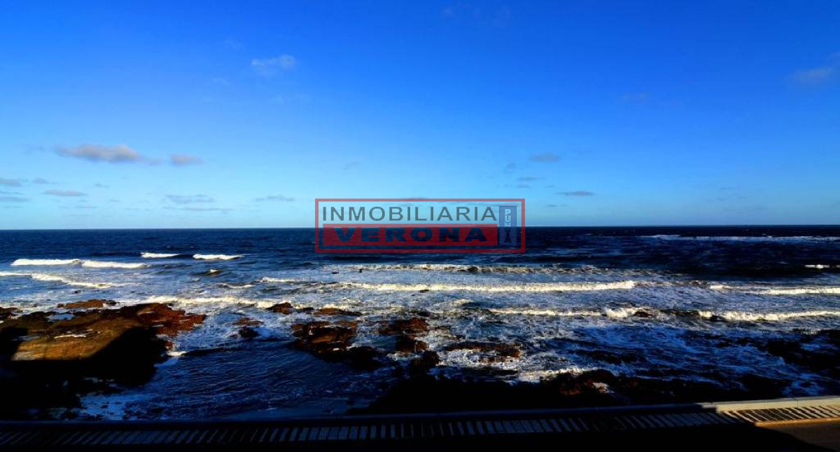 Peninsula - GoPunta - Portal Inmobiliario de Punta del Este - Maldonado