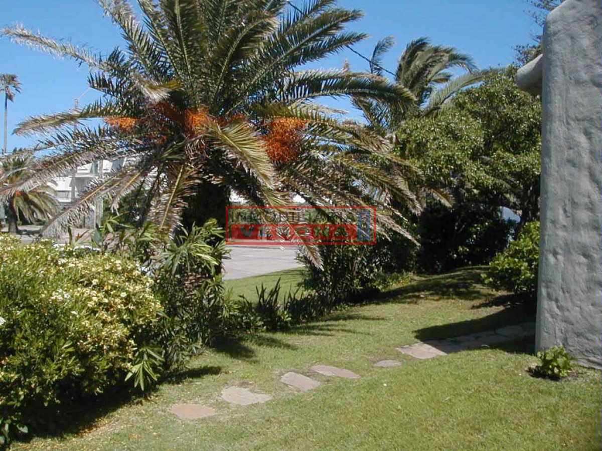 Peninsula - GoPunta - Portal Inmobiliario de Punta del Este - Maldonado