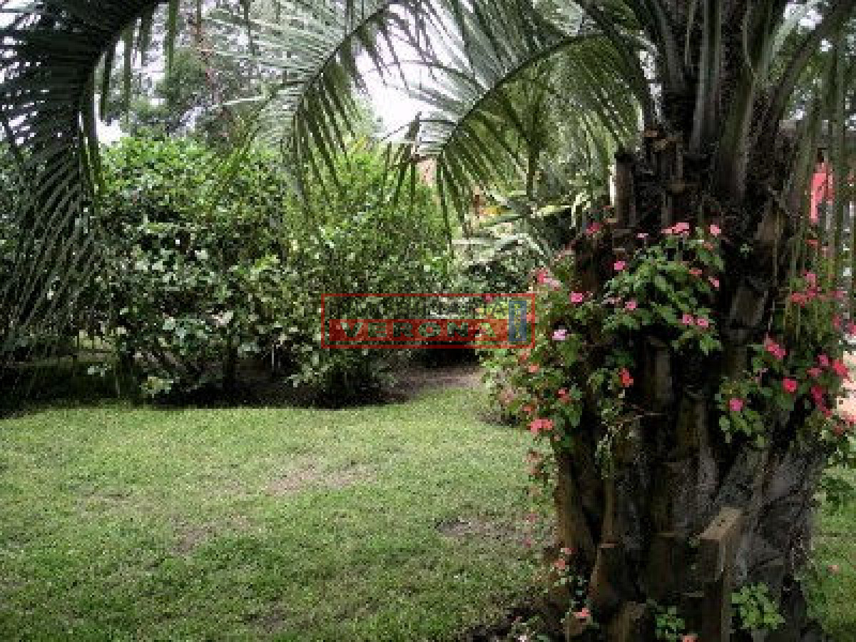 La Barra - GoPunta - Portal Inmobiliario de Punta del Este - Maldonado