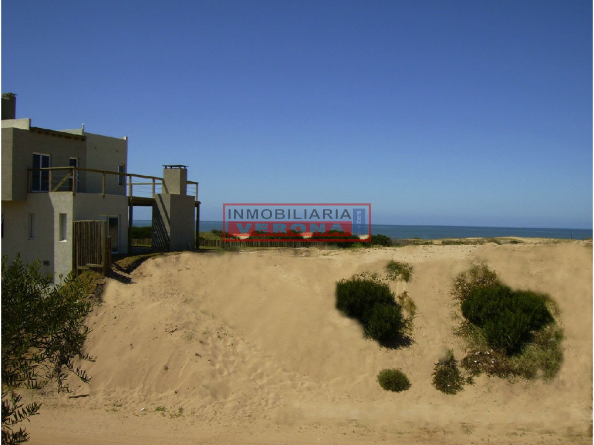 Sauce de Portezuelo - GoPunta - Portal Inmobiliario de Punta del Este - Maldonado