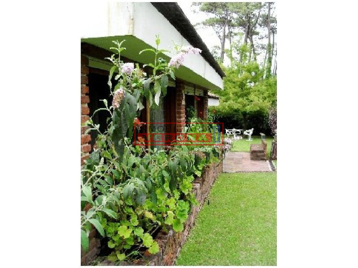 Pinares - GoPunta - Portal Inmobiliario de Punta del Este - Maldonado
