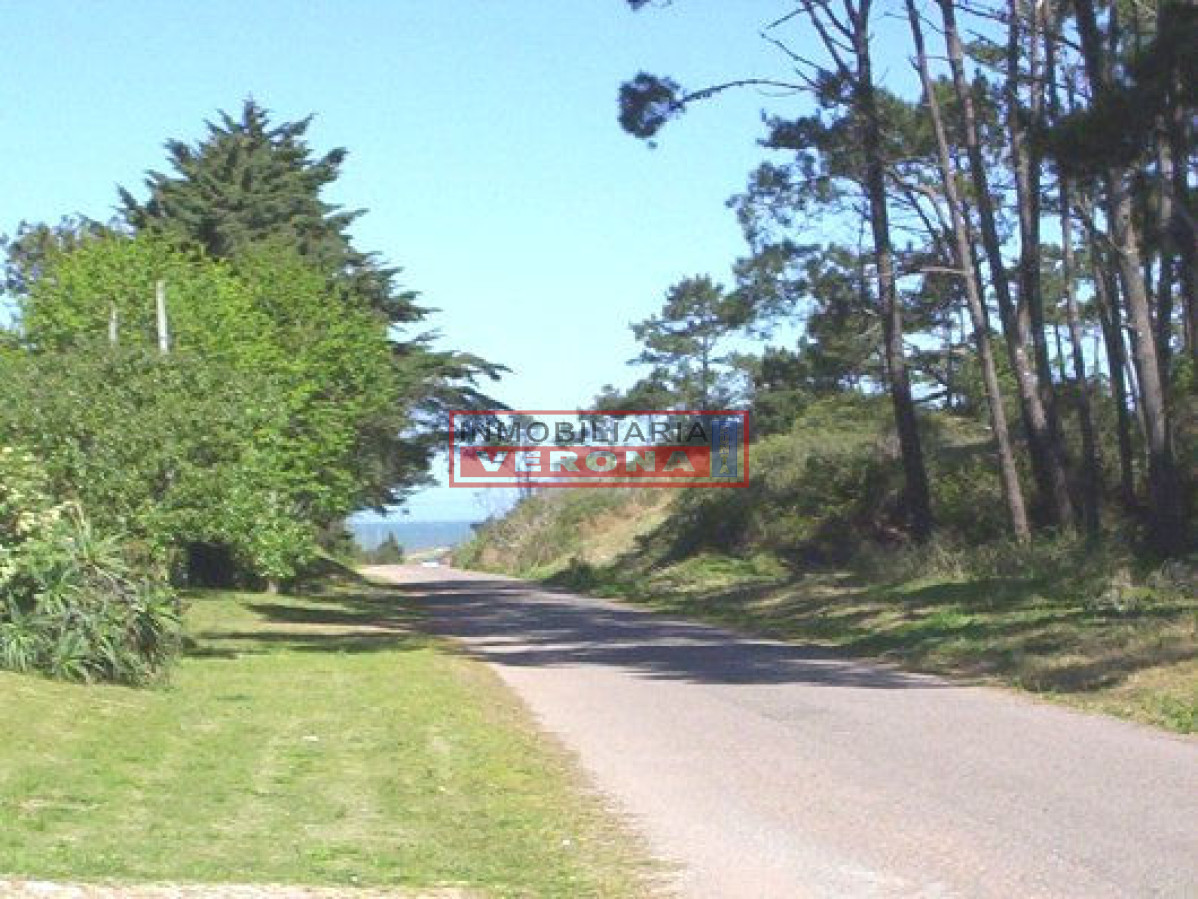 San Rafael - GoPunta - Portal Inmobiliario de Punta del Este - Maldonado
