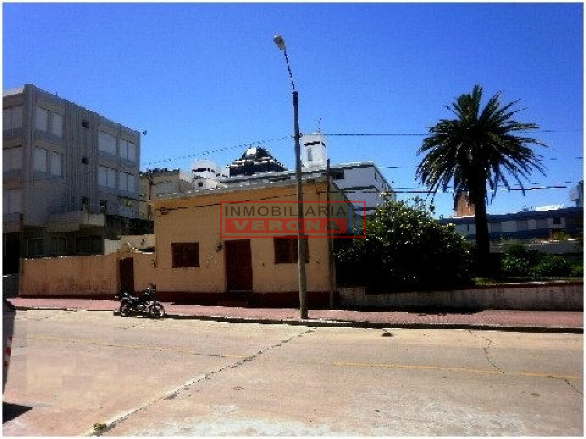 Peninsula - GoPunta - Portal Inmobiliario de Punta del Este - Maldonado