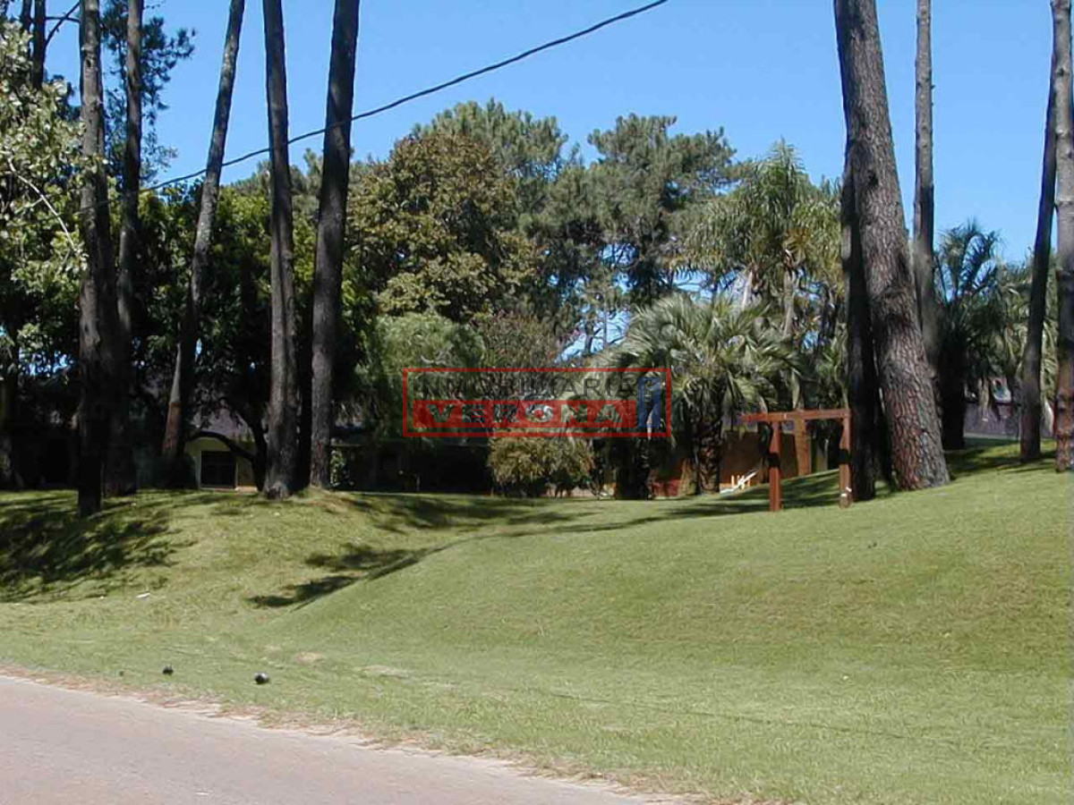 Lugano - GoPunta - Portal Inmobiliario de Punta del Este - Maldonado