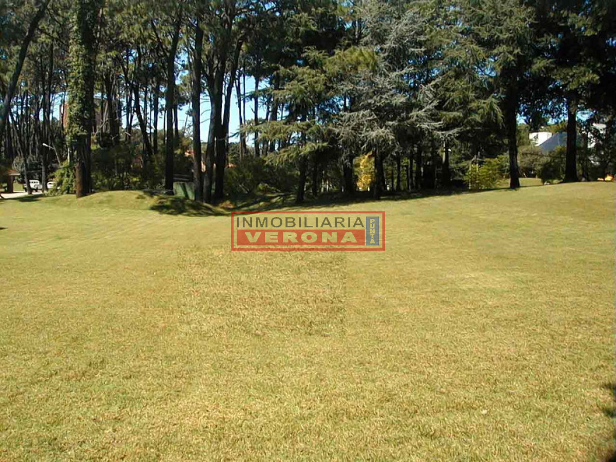 Lugano - GoPunta - Portal Inmobiliario de Punta del Este - Maldonado