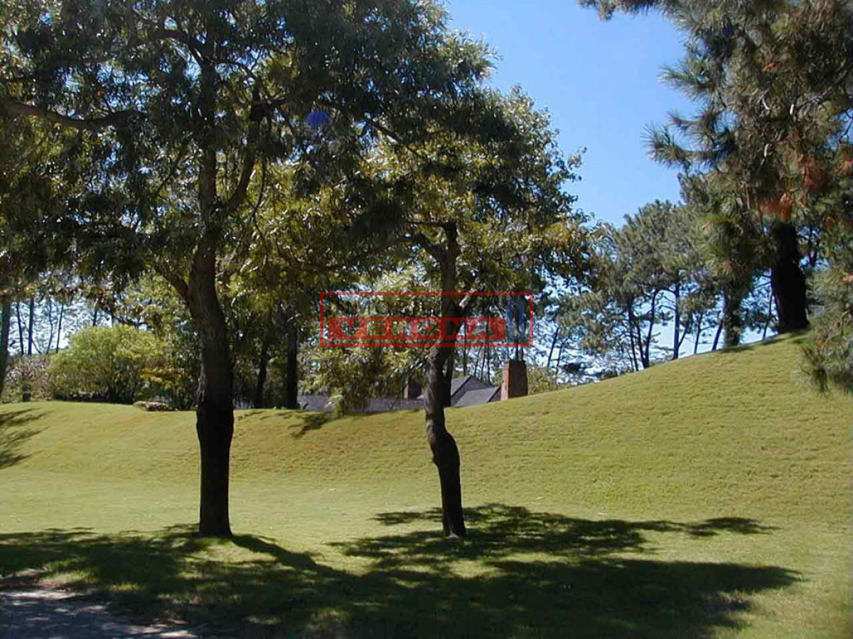 Lugano - GoPunta - Portal Inmobiliario de Punta del Este - Maldonado