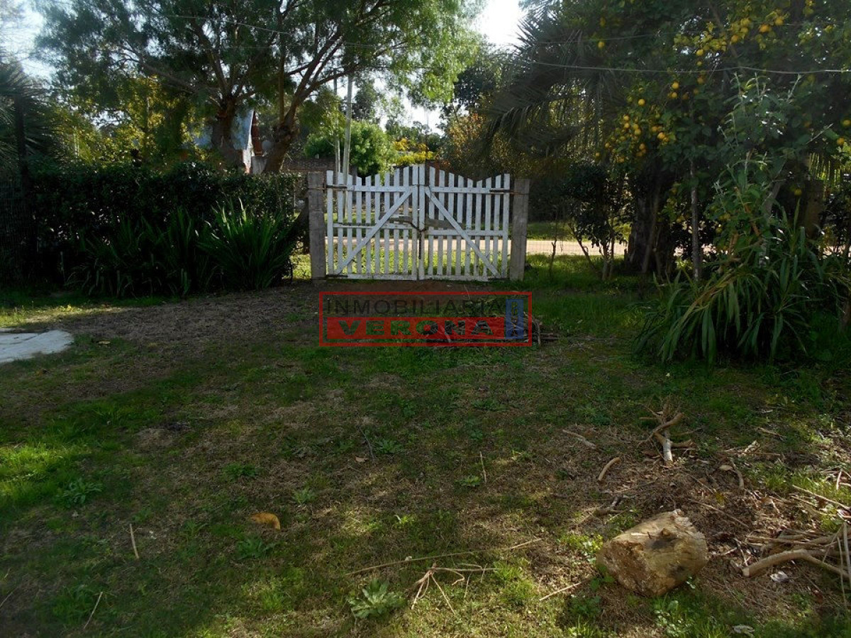Balneario Buenos Aires - GoPunta - Portal Inmobiliario de Punta del Este - Maldonado
