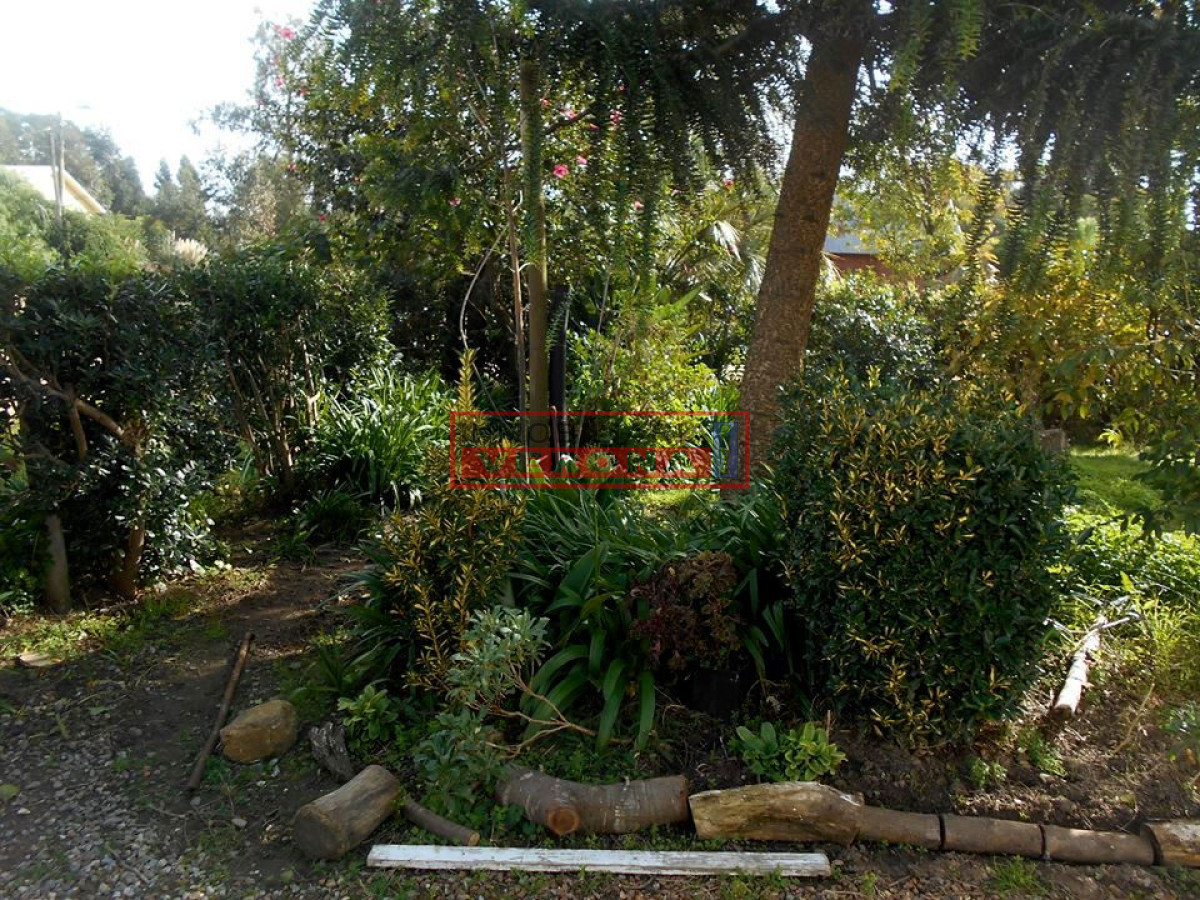 Balneario Buenos Aires - GoPunta - Portal Inmobiliario de Punta del Este - Maldonado
