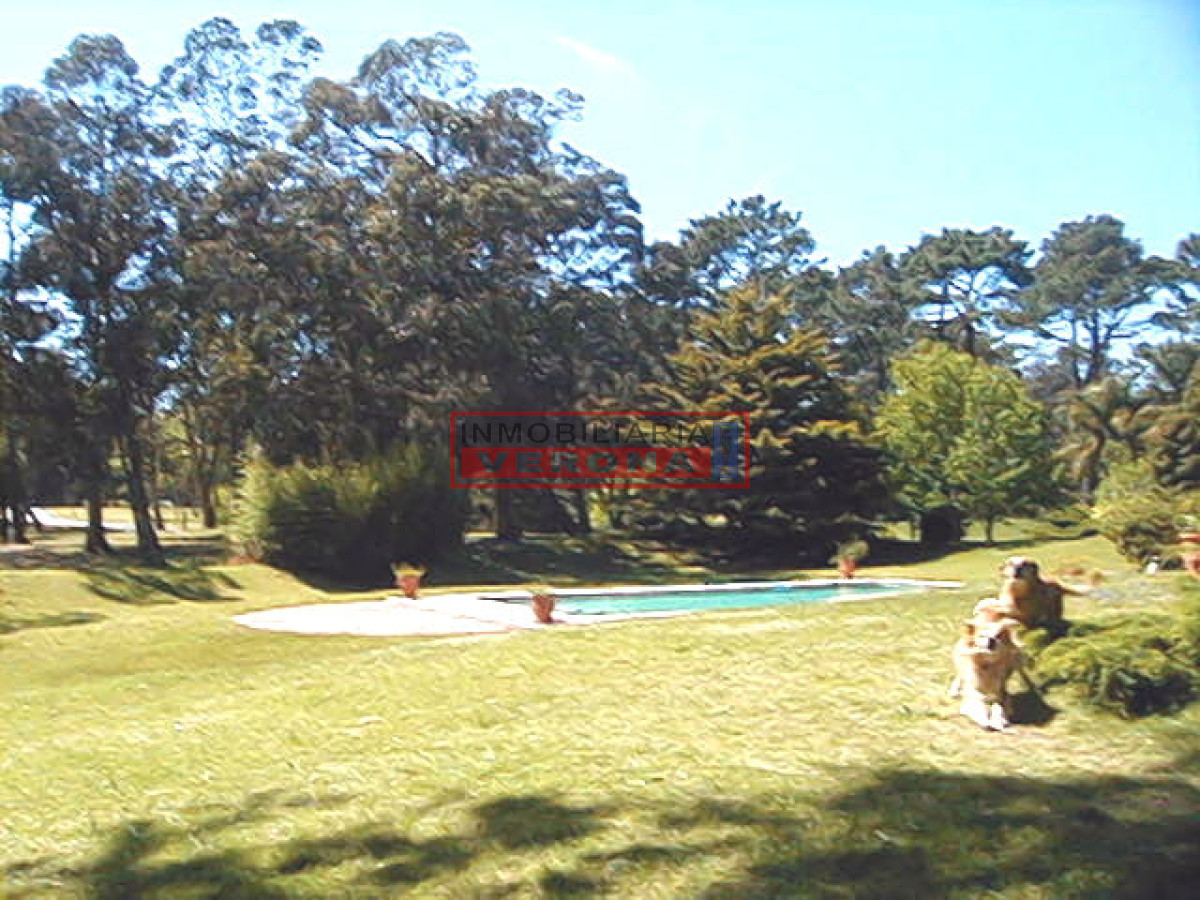 Beverly Hills - GoPunta - Portal Inmobiliario de Punta del Este - Maldonado