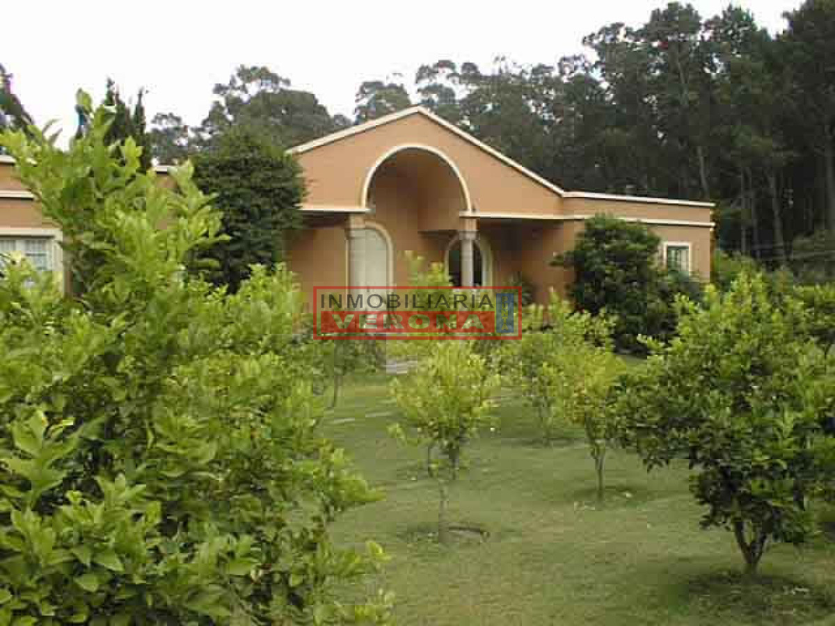 Golf - GoPunta - Portal Inmobiliario de Punta del Este - Maldonado