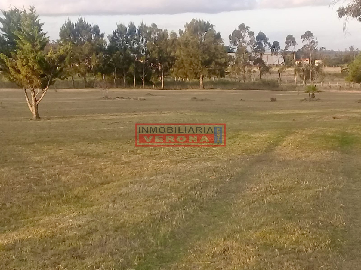 Camino de los Ceibos - GoPunta - Portal Inmobiliario de Punta del Este - Maldonado