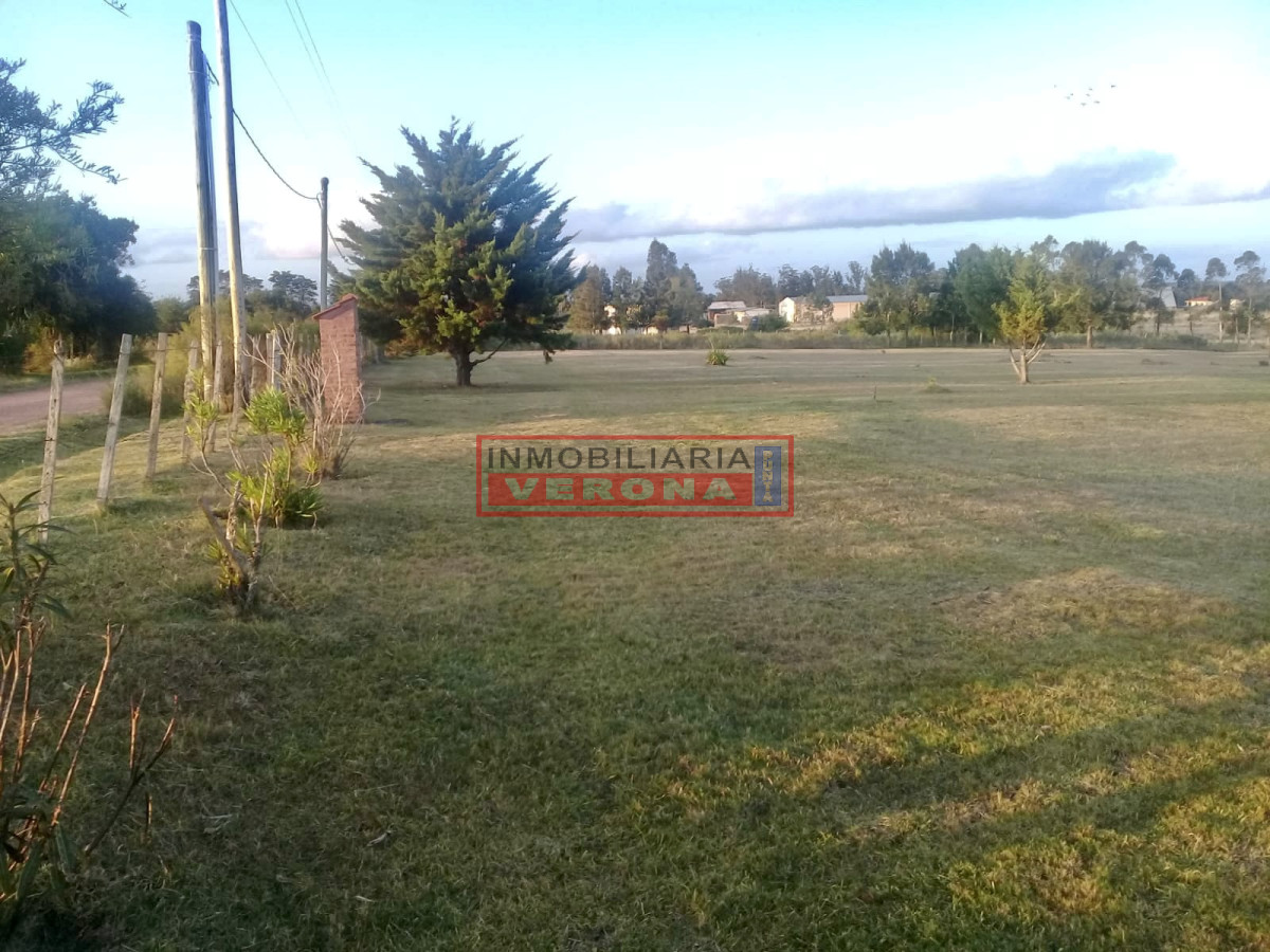 Camino de los Ceibos - GoPunta - Portal Inmobiliario de Punta del Este - Maldonado
