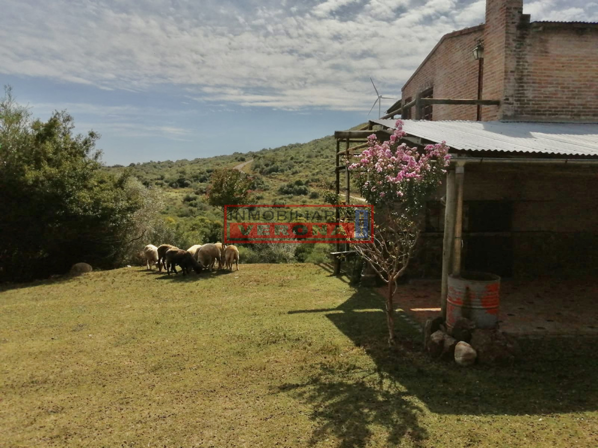 Sierra de los Caracoles - GoPunta - Portal Inmobiliario de Punta del Este - Maldonado