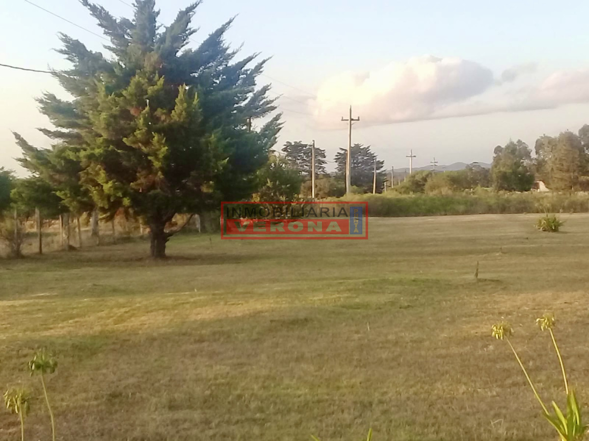 Camino de los Ceibos - GoPunta - Portal Inmobiliario de Punta del Este - Maldonado