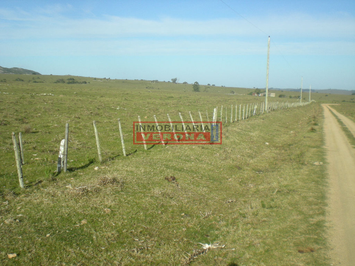 6284 75 - GoPunta - Portal Inmobiliario de Punta del Este - Maldonado
