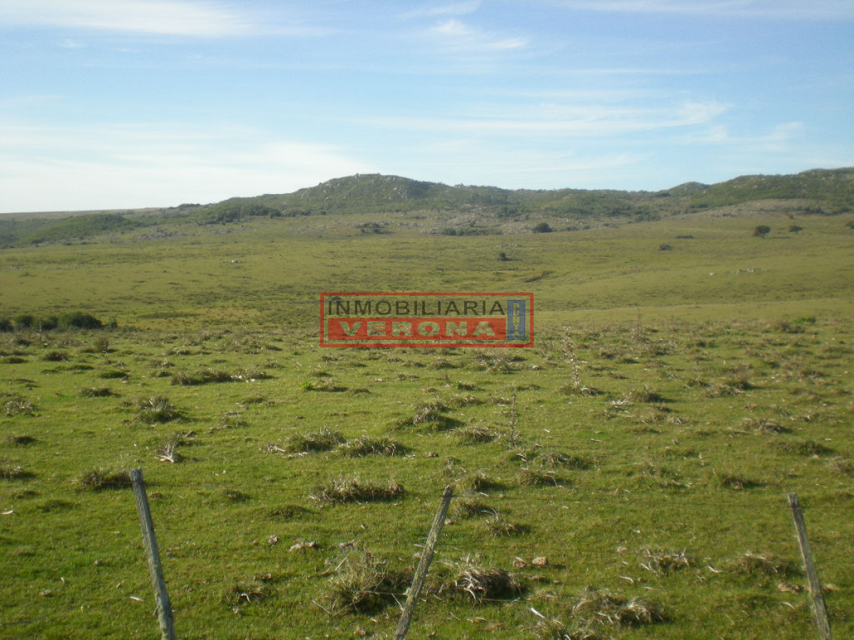 6284 75 - GoPunta - Portal Inmobiliario de Punta del Este - Maldonado