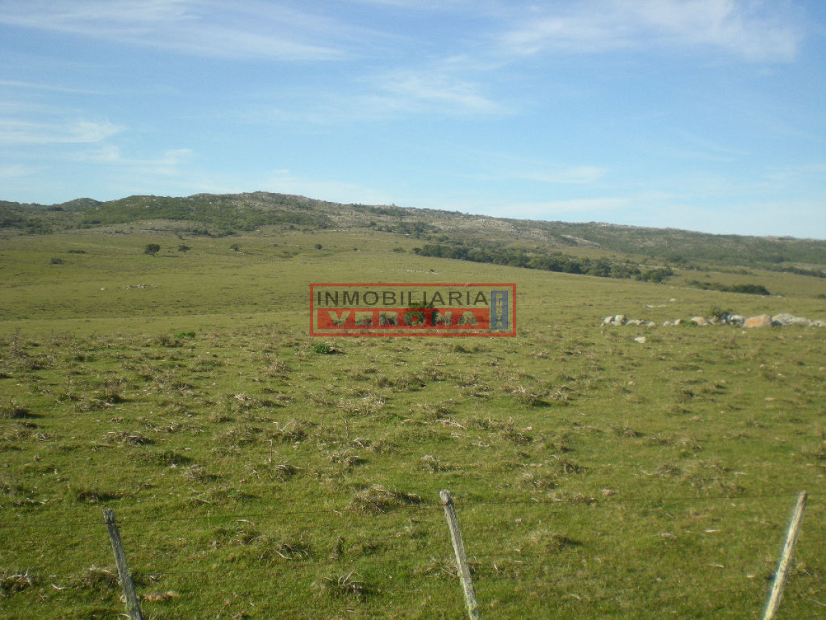 6284 75 - GoPunta - Portal Inmobiliario de Punta del Este - Maldonado