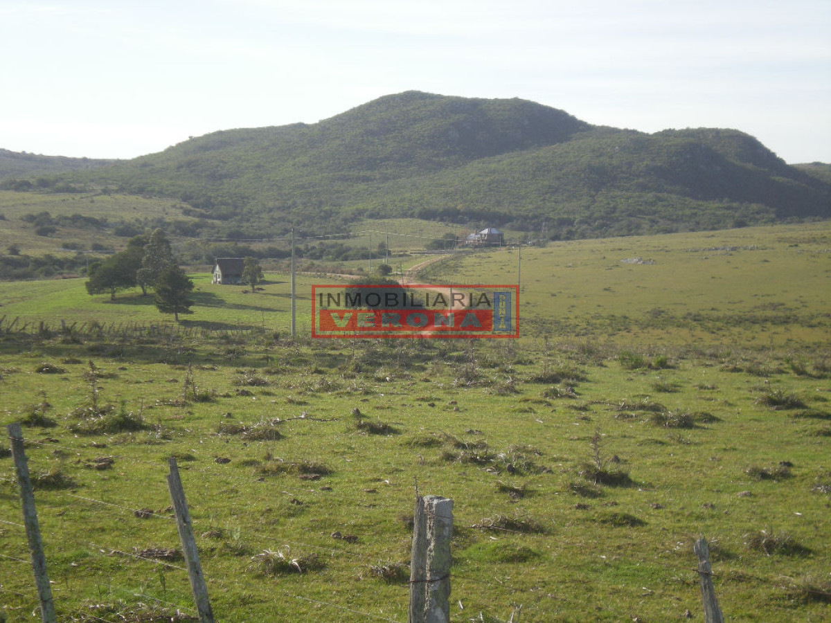 6284 75 - GoPunta - Portal Inmobiliario de Punta del Este - Maldonado