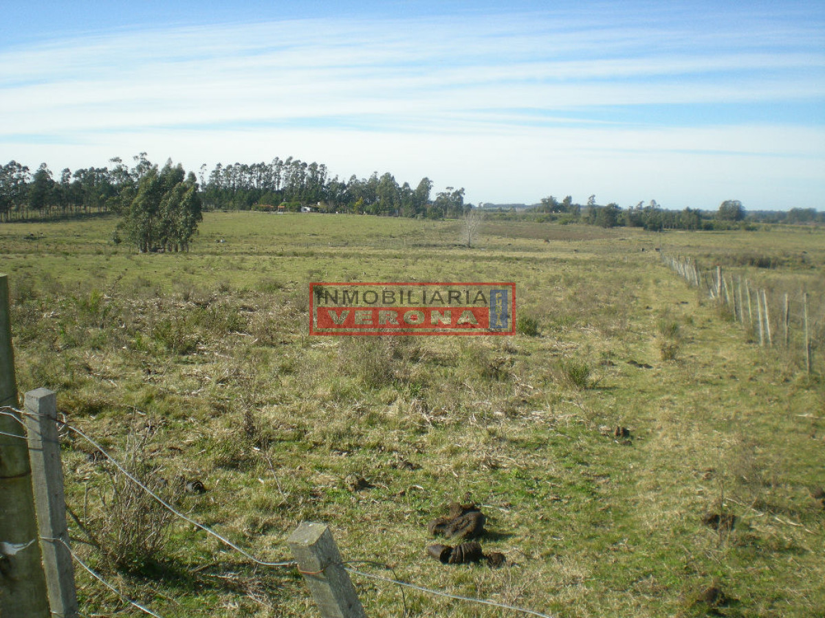 6287 75 - GoPunta - Portal Inmobiliario de Punta del Este - Maldonado