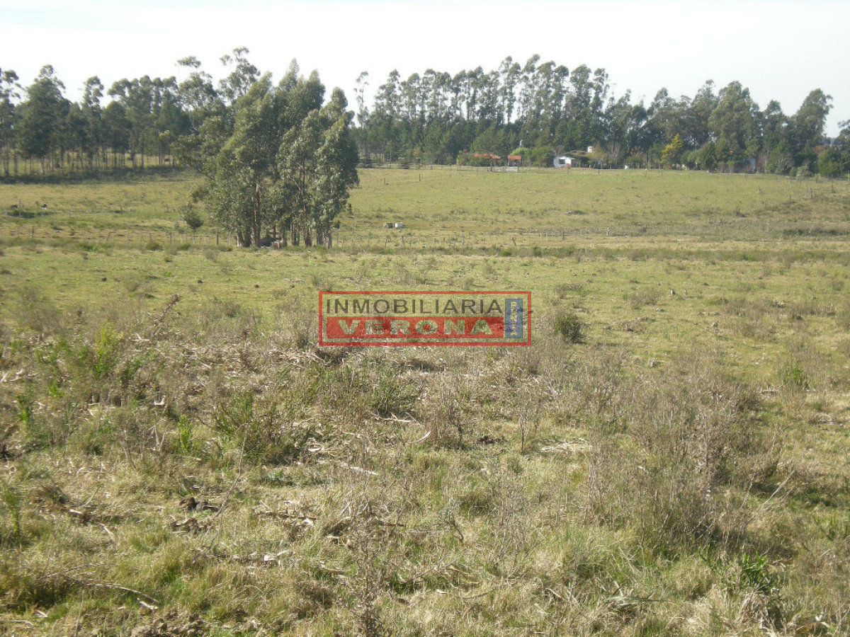 6287 75 - GoPunta - Portal Inmobiliario de Punta del Este - Maldonado