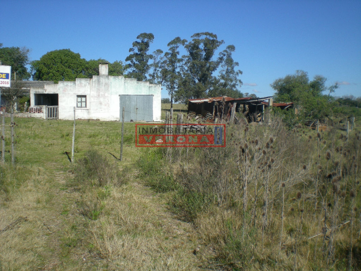 6289 75 - GoPunta - Portal Inmobiliario de Punta del Este - Maldonado
