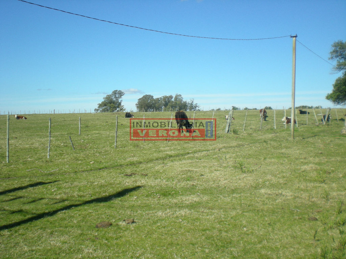 6289 75 - GoPunta - Portal Inmobiliario de Punta del Este - Maldonado