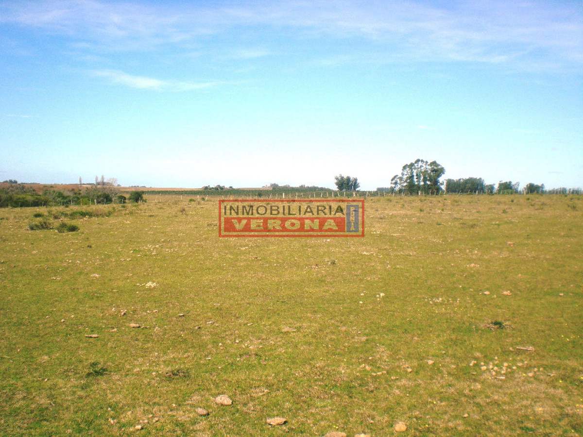 6293 75 - GoPunta - Portal Inmobiliario de Punta del Este - Maldonado